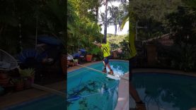 Pour 100$ il tente le pari de traverser une piscine sur une poutre en bois