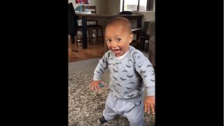 Un bébé de deux ans danse le haka